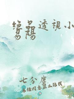 绝品透视小神医易阳