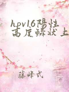 hpv16阳性高度鳞状上皮内病变hsil