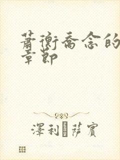 萧衡乔念的最新章节