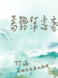 晨跑打卡文案短句干净治愈