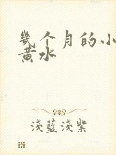 几个月的小猫吐黄水