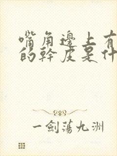 嘴角边上有白色的干皮是什么原因