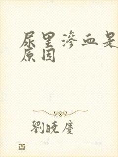 尿里渗血是什么原因