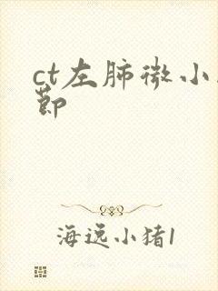 ct左肺微小结节