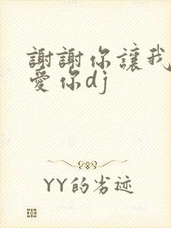 谢谢你让我这么爱你dj