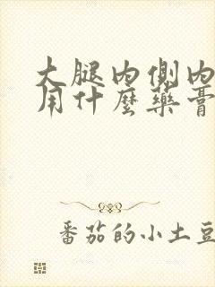 大腿内侧内瘙痒用什么药膏