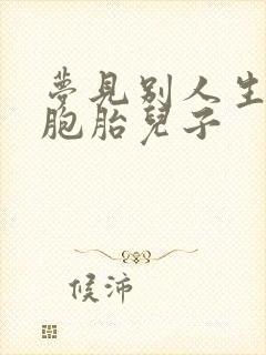 梦见别人生了双胞胎儿子