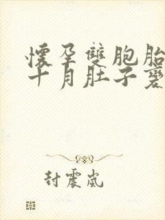 怀孕双胞胎一到十月肚子变化视频