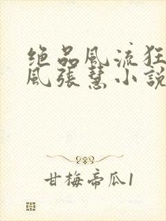 绝品风流狂医林风张慧小说全集