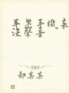 平果手机来电话没声音