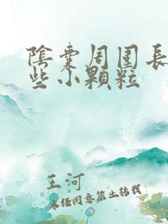 阴囊周围长了一些小颗粒