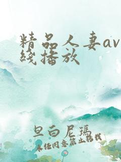 精品人妻av在线播放