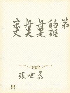 宋丹丹的第二任丈夫是谁