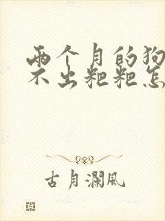 两个月的狗狗拉不出粑粑怎么办