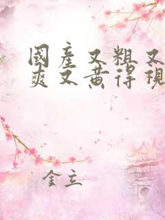 国产又粗又猛又爽又黄得视频