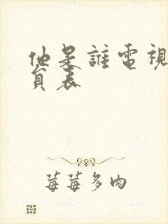 他是谁电视剧演员表