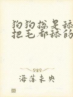 狗狗总是舔爪子把毛都舔的发红