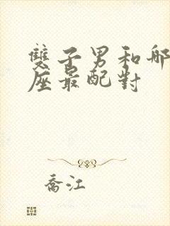 双子男和哪个星座最配对