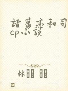 诸葛亮和司马懿cp小说