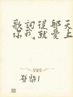 歌词从那天遇见你我就爱上你