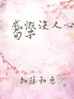 感慨没人心疼的句子