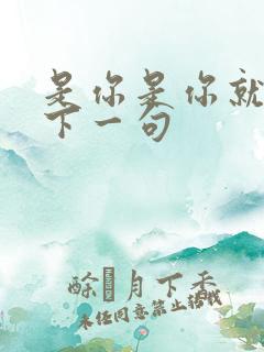 是你是你就是你下一句