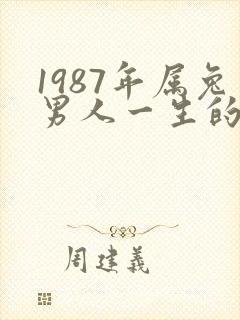 1987年属兔男人一生的命运