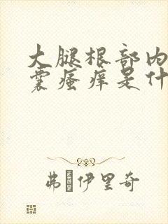 大腿根部内侧阴囊瘙痒是什么原因