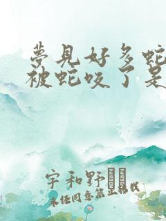 梦见好多蛇而且被蛇咬了是什么预兆