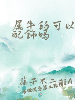 属牛的可以带蛇配饰吗