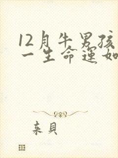 12月牛男孩的一生命运如何