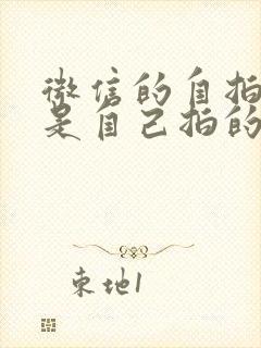 微信的自拍表情是自己拍的吗