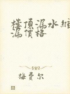 楼顶漏水维修补漏价格