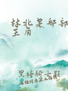 林北是哪部小说主角