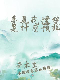 梦见我怀双胞胎是什么预兆