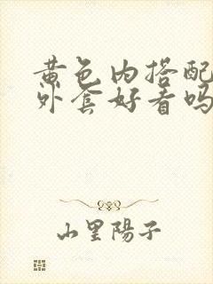 黄色内搭配咖色外套好看吗