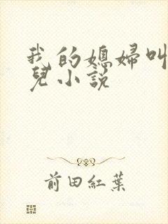 我的媳妇叫苏月儿小说