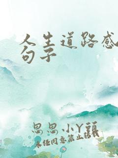 人生道路感悟的句子