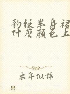 豹纹半身裙搭配什么颜色上衣