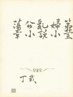 荡公乱妇第51章小说小莹