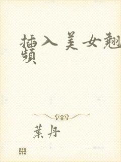 插入美女翘臀视频