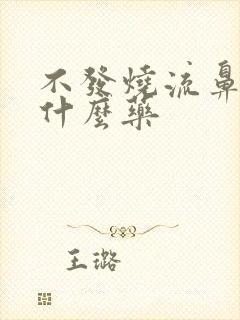 不发烧流鼻涕吃什么药