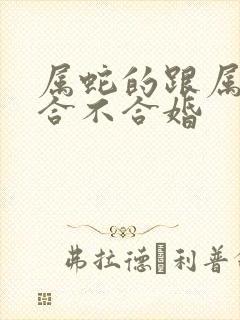 属蛇的跟属龙的合不合婚