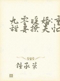 九零暖婚:重生甜妻撩夫忙全文免费