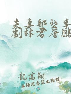 夫妻那些事电视剧林君唐鹏