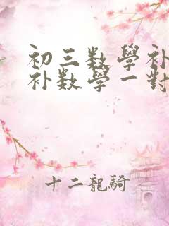 初三数学补课 补数学一对一