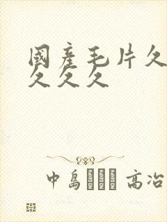 国产毛片久久久久久久