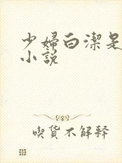 少妇白洁是哪部小说