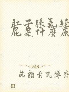 肚子胀气经常放屁是什么原因