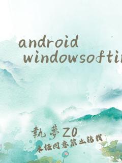 android windowsoftinputmode